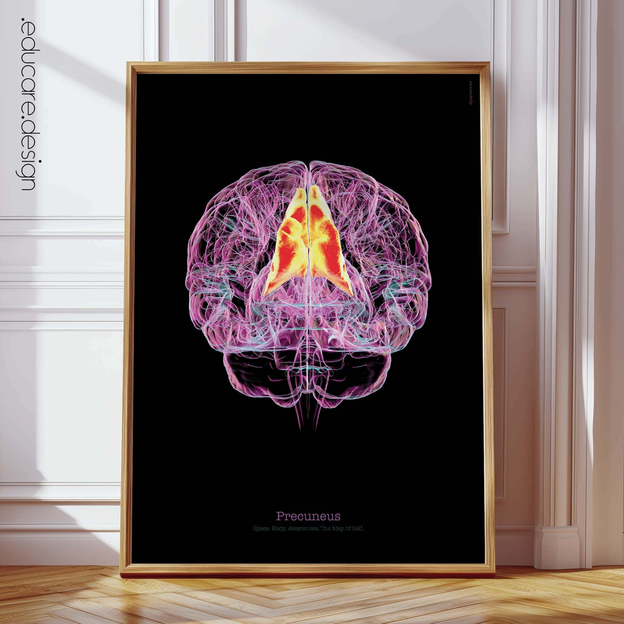 Cerebral Trilogy anatomy chart for clinics Cerebral Trilogy anatomy chart for clinics