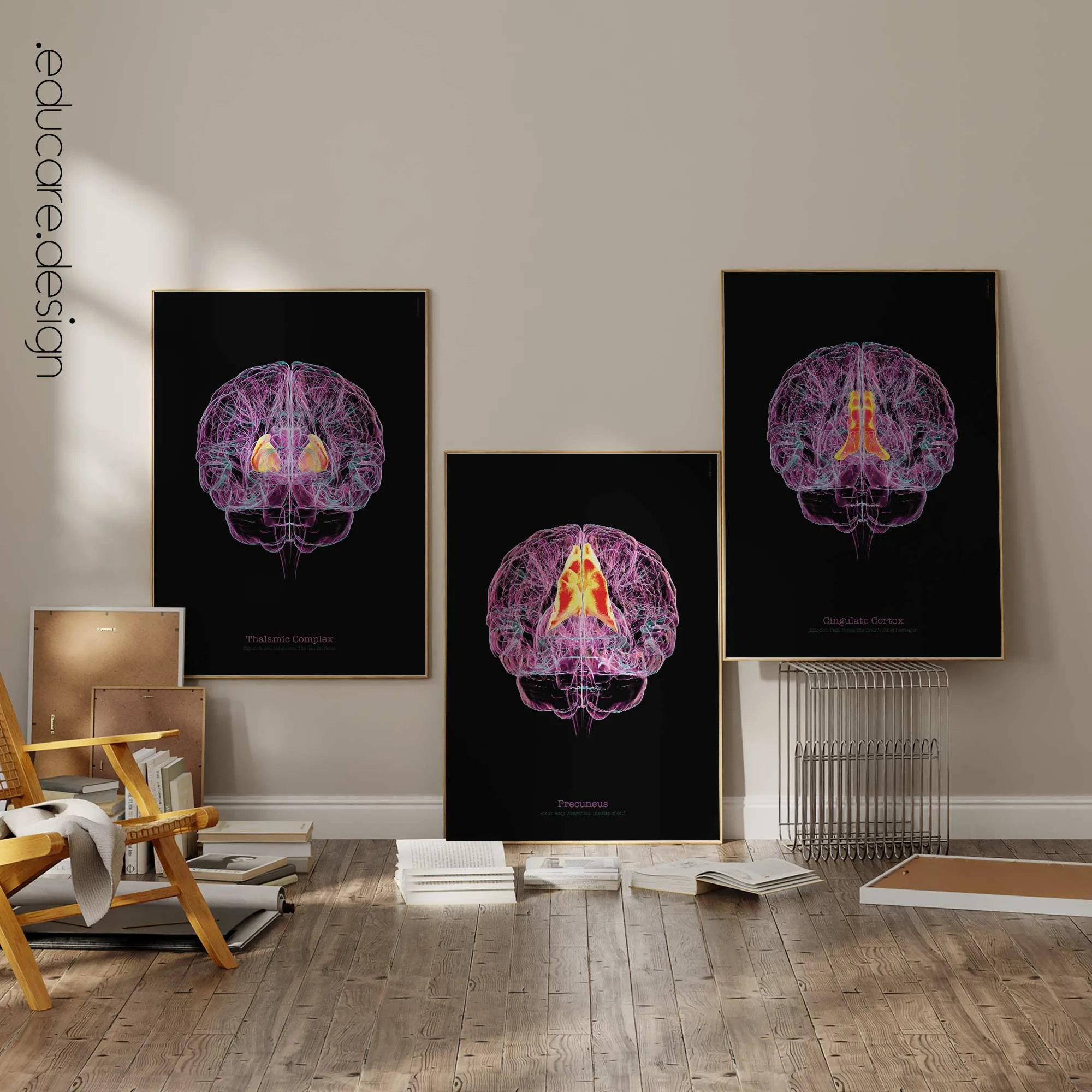 Cerebral Trilogy anatomy chart for clinics Cerebral Trilogy anatomy chart for clinics