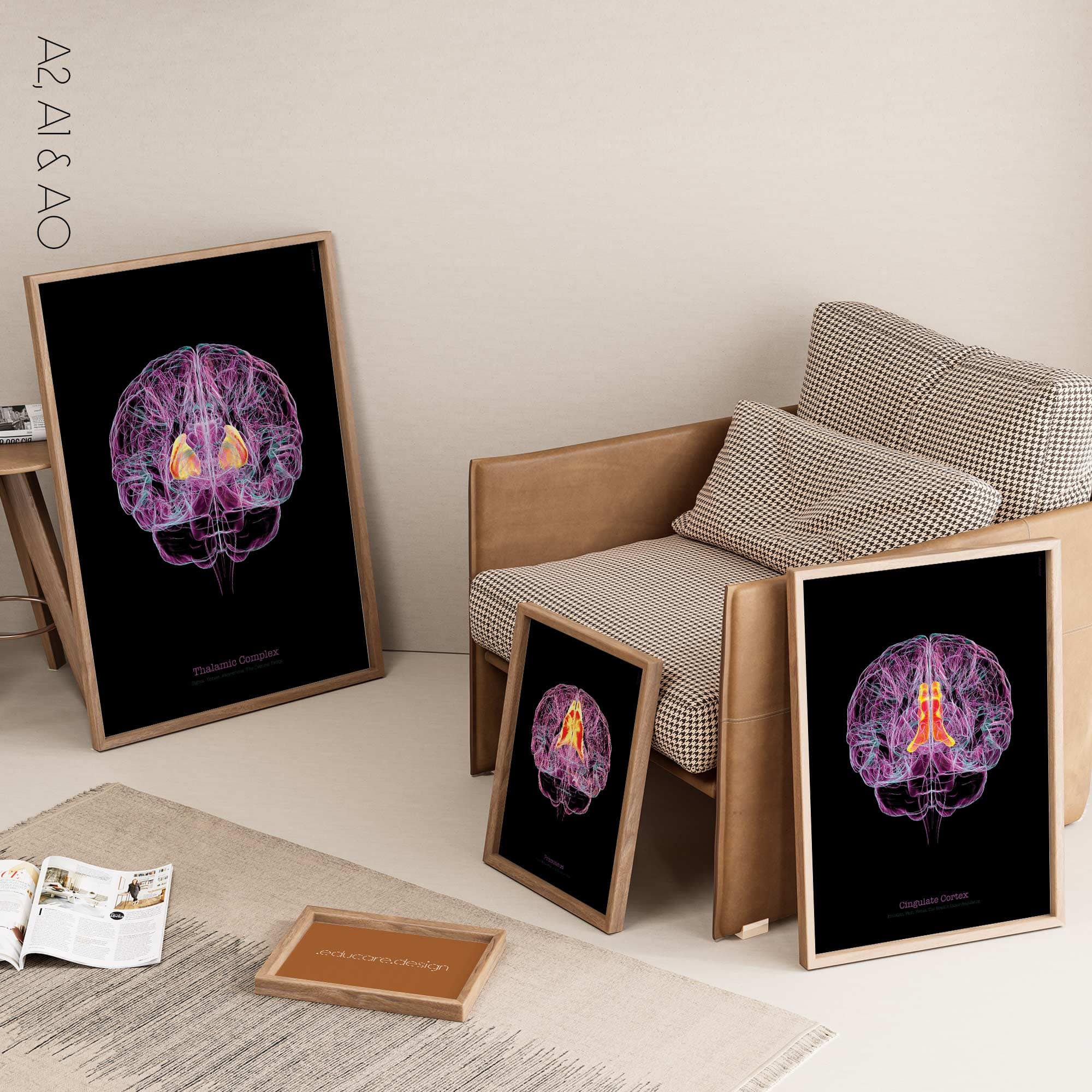 Cerebral Trilogy anatomy chart for clinics Cerebral Trilogy anatomy chart for clinics