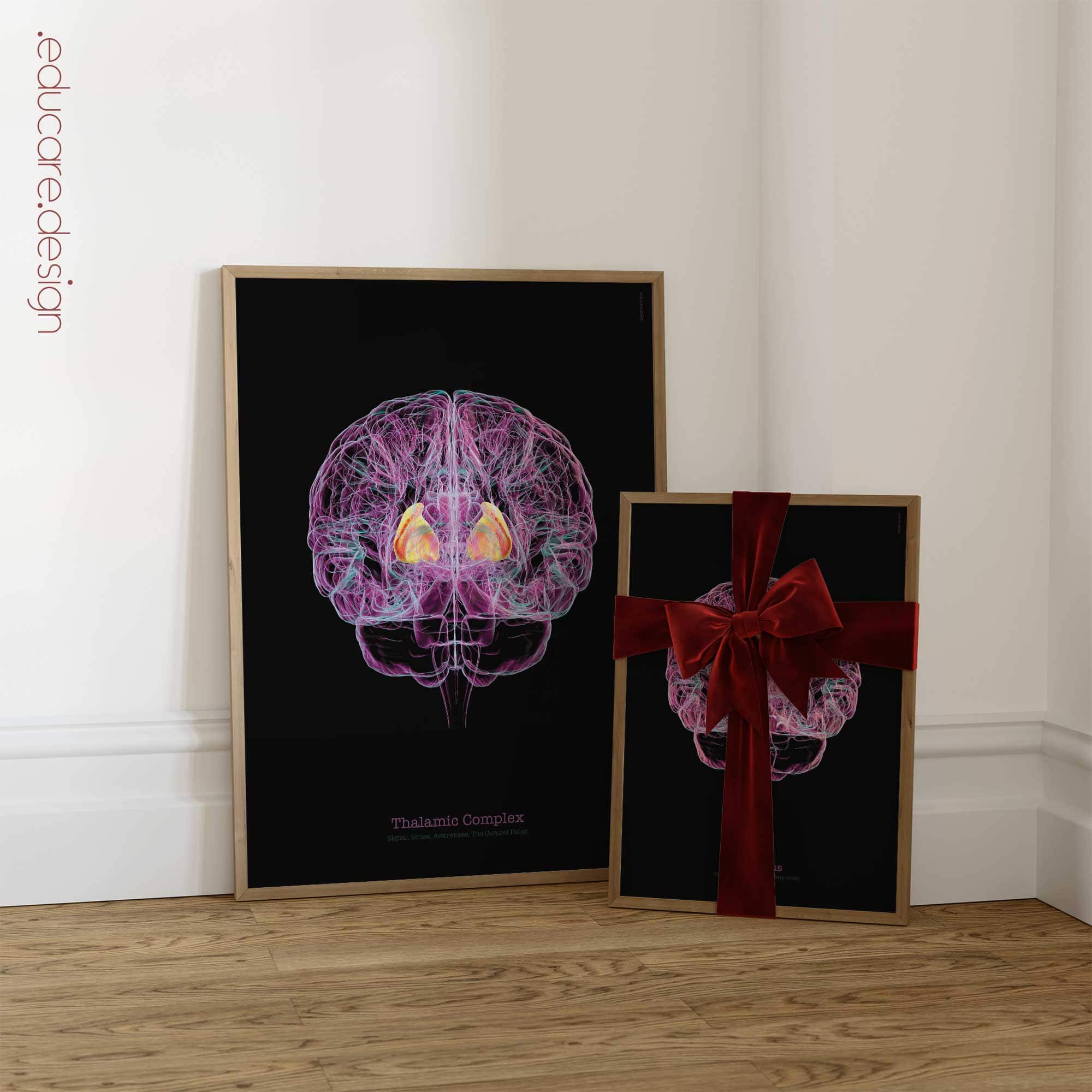 Cerebral Trilogy anatomy chart for clinics Cerebral Trilogy anatomy chart for clinics