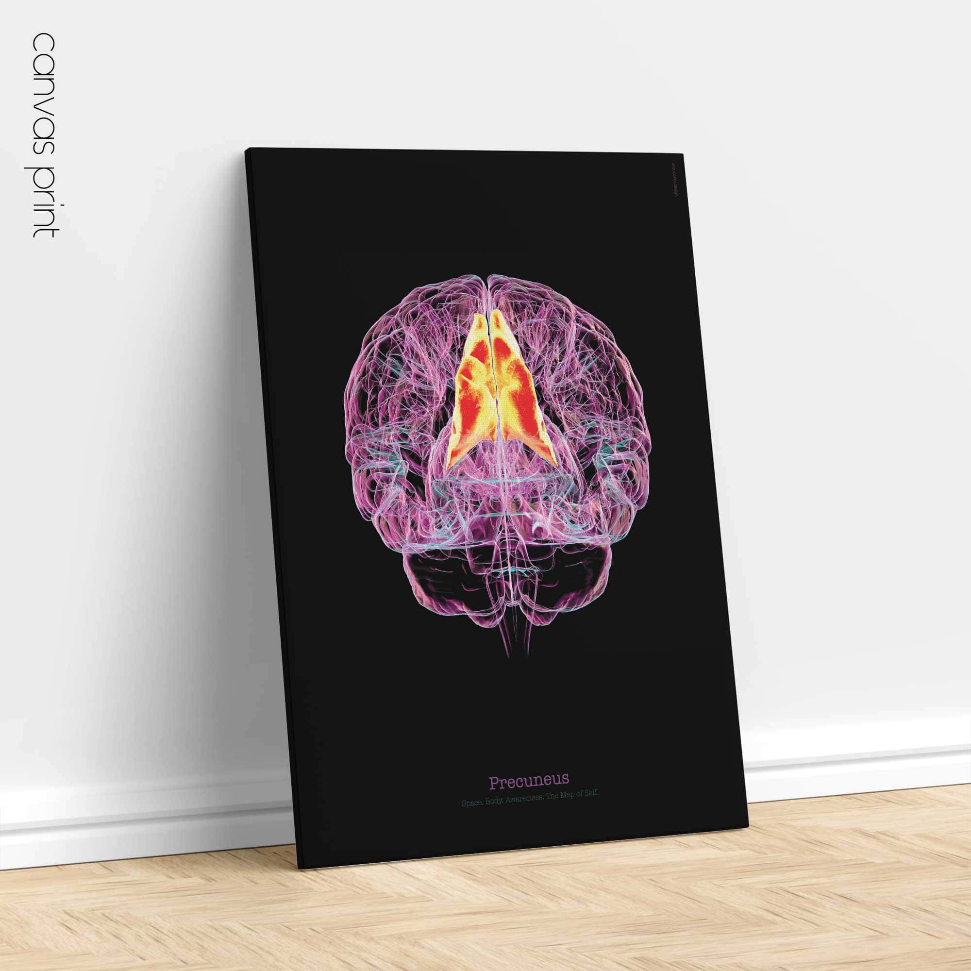 Cerebral Trilogy anatomy chart for clinics Cerebral Trilogy anatomy chart for clinics