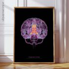Cerebral Trilogy anatomy chart for clinics Cerebral Trilogy anatomy chart for clinics
