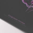Cerebral Trilogy anatomy chart for clinics Cerebral Trilogy anatomy chart for clinics