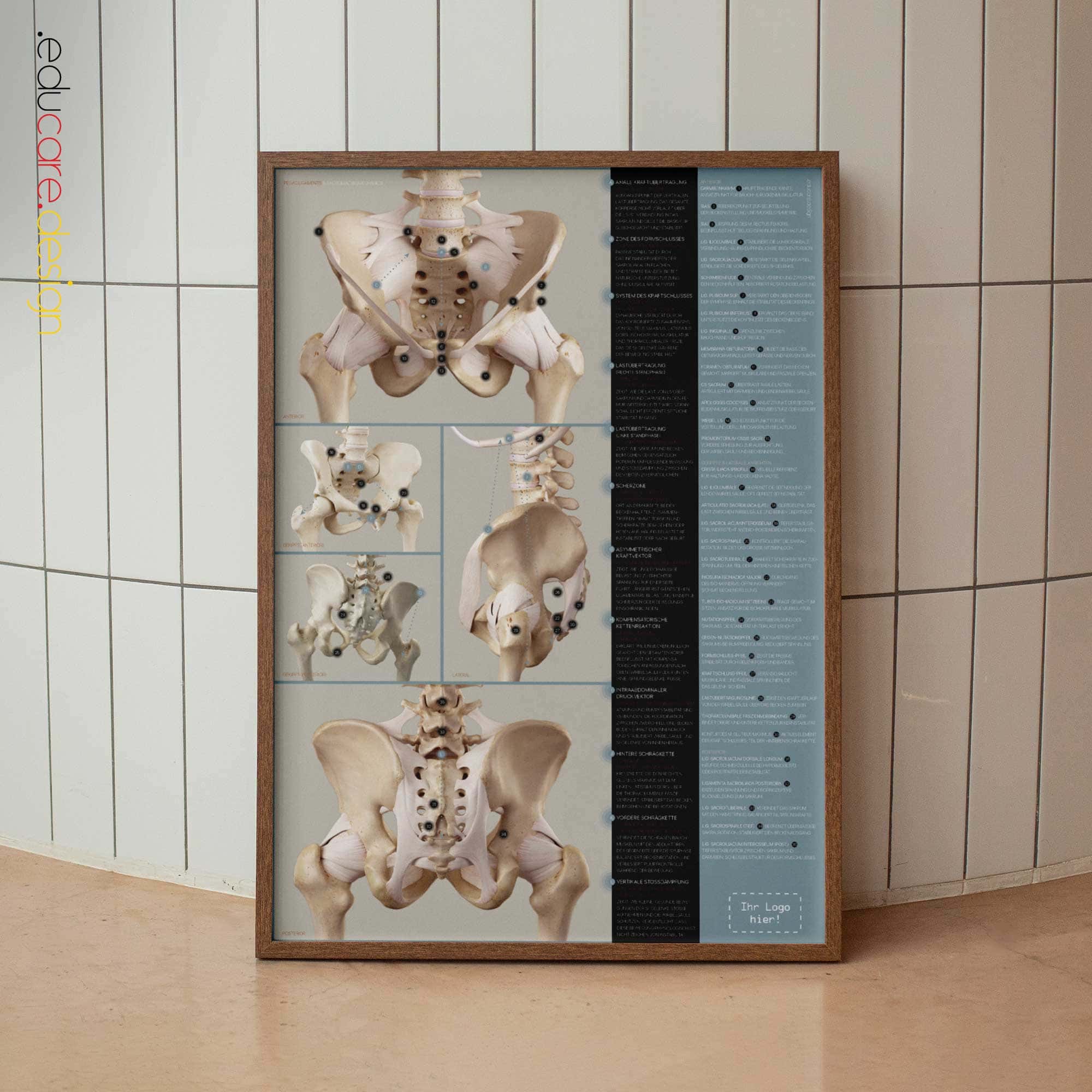 Postural Assessment and Scoliosis anatomy chart for clinics