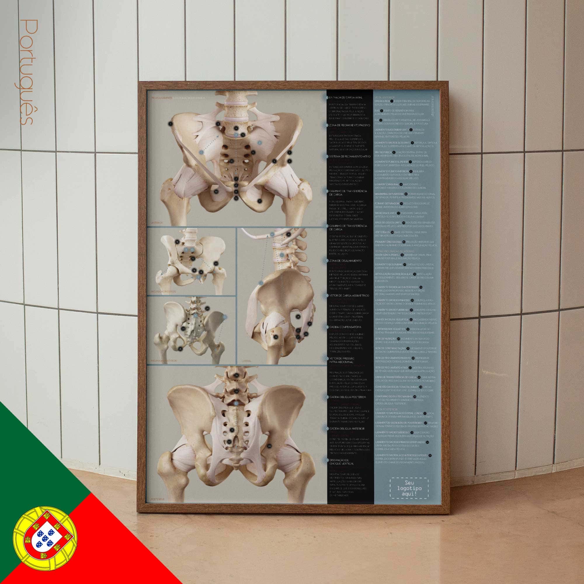 Pelvic Ligaments and Sacroiliac Biomechanics