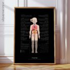Puberty anatomy chart for clinics