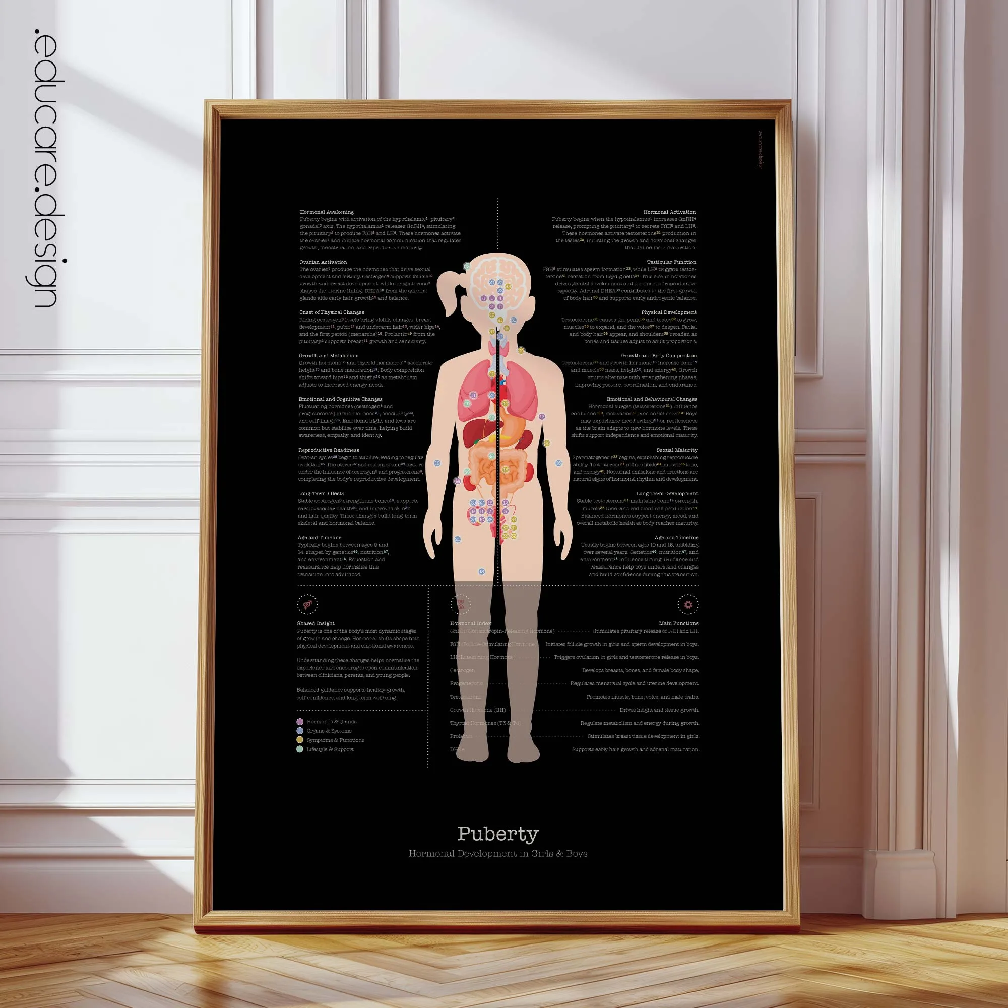 Puberty anatomy chart for clinics