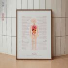 Puberté planche anatomique pour cabinets et cliniques
