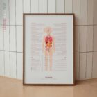 Pubertà tavola anatomica per studi e cliniche