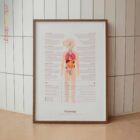 Pubertad lámina anatómica para clínicas y consultas
