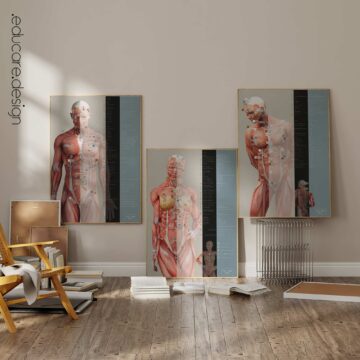 TBM Total Body Modification Anatomy Chart Set