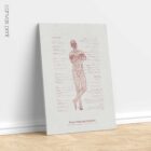 Poor Postural Control anatomy chart for clinics