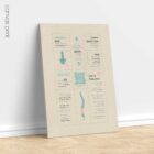 Lower Back Pain Quick Guide anatomy chart for clinics