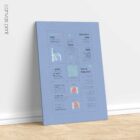 Shoulder Pain Quick Guide anatomy chart for clinics