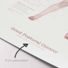 Good Postural Control anatomy chart for clinics