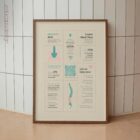Lower Back Pain Quick Guide anatomy chart for clinics
