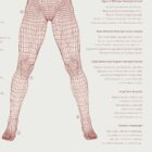 Good Postural Control anatomy chart for clinics