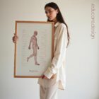 The Gait Cycle and Kinetic Chain anatomy chart for clinics