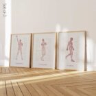 Postural Control Set anatomy chart for clinics