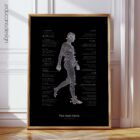 Postural Control Set anatomy chart for clinics