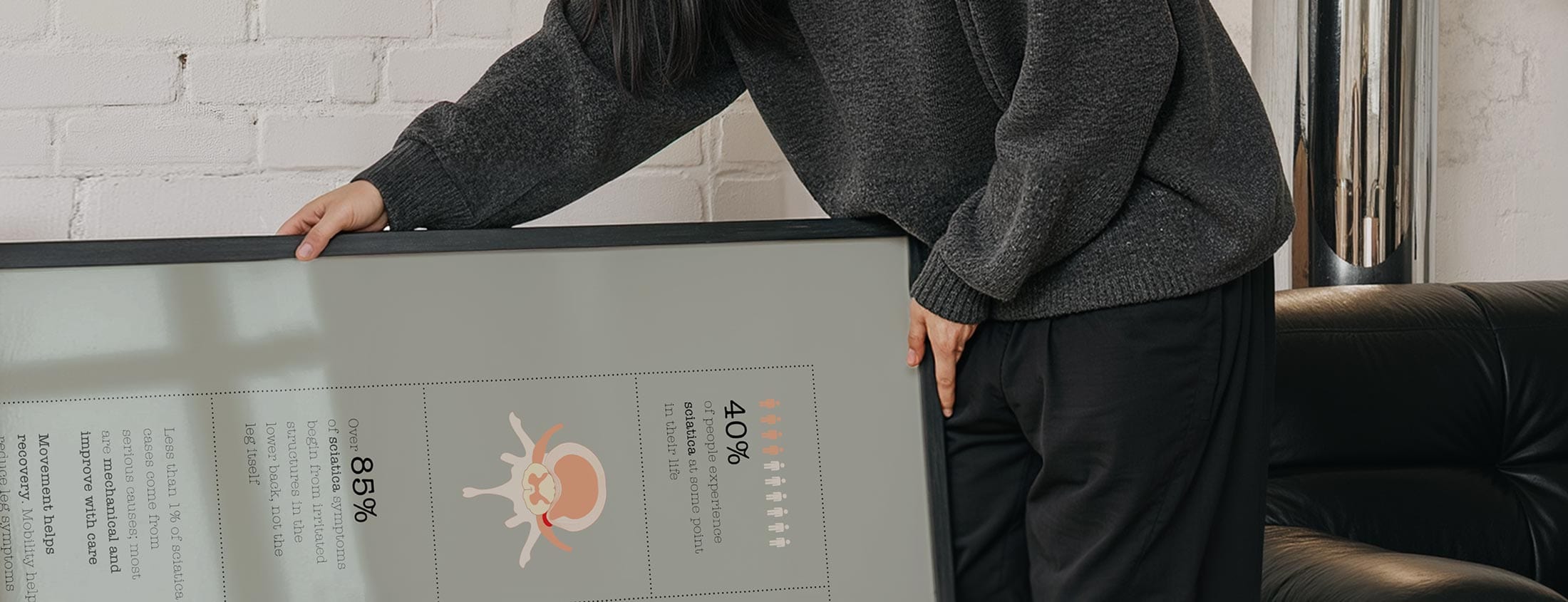 Quick Anatomy Guides