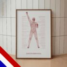 Goede Posturale Controle anatomisch diagram voor praktijken en klinieken