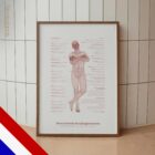 Verminderde Posturale Controle anatomisch diagram voor praktijken en klinieken