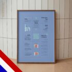 Schouderpijn – Quick Guide anatomisch diagram voor praktijken en klinieken