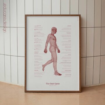 The Gait Cycle and Kinetic Chain - Clinical Reference Poster