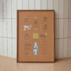 Knee Pain Quick Guide anatomy chart for clinics