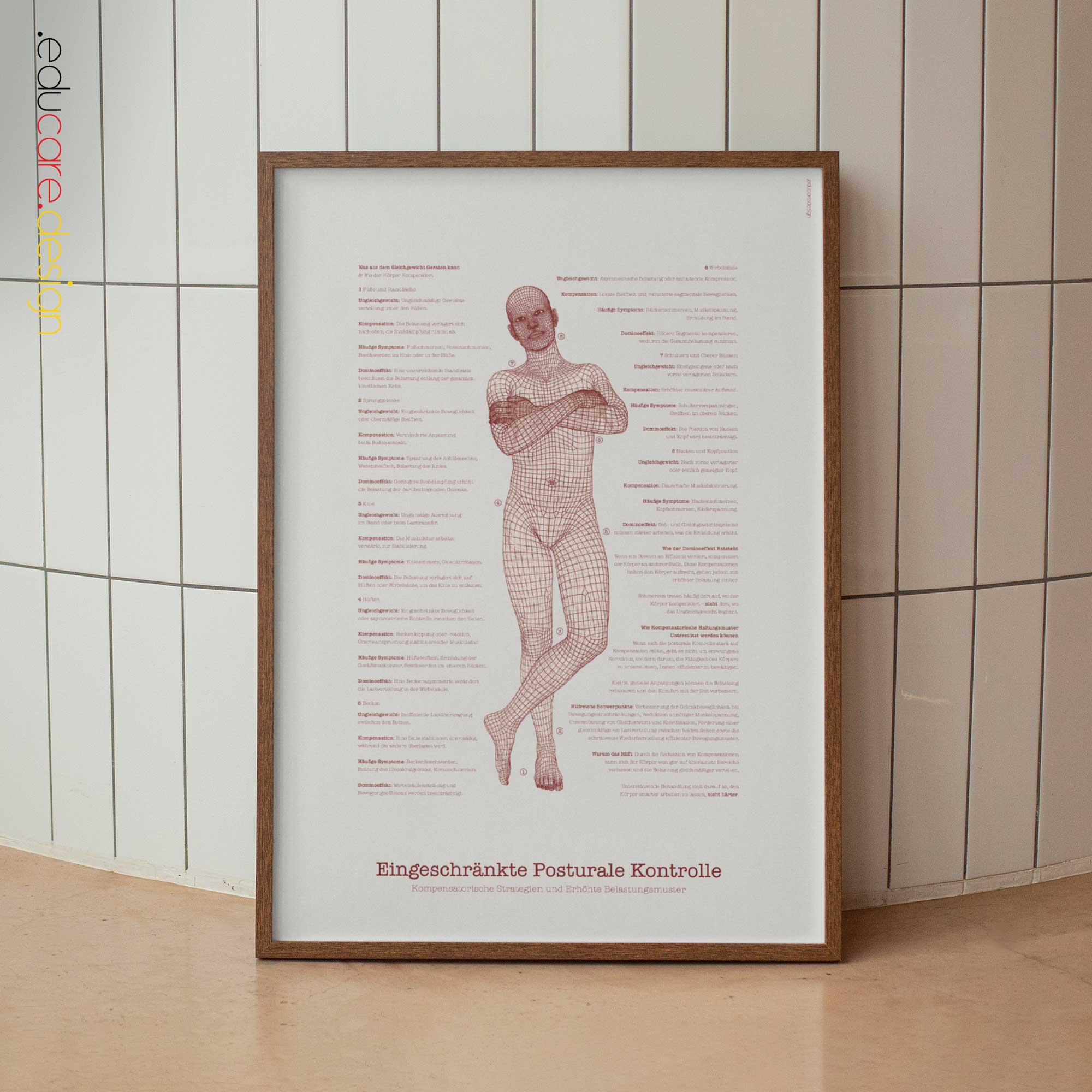 Postural Assessment and Scoliosis anatomy chart for clinics