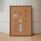 Dolore al Ginocchio Quick Guide tavola anatomica per studi e cliniche