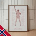 God Postural Kontroll anatomidiagram for klinikker