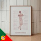Controlo Postural Deficiente diagrama anatómico para clínicas e consultórios