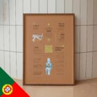 Dor no Joelho – Quick Guide diagrama anatómico para clínicas e consultórios