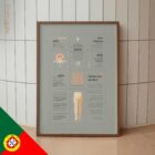 Dor do Nervo Ciático – Quick Guide diagrama anatómico para clínicas e consultórios