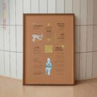 Dolor de Rodilla Quick Guide lámina anatómica para clínicas y consultas