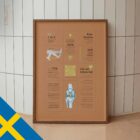Knäsmärta – Quick Guide anatomidiagram för kliniker