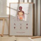 The Immune System anatomy chart for clinics