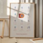 Common Knee Conditions anatomy chart for clinics