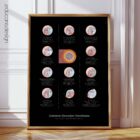 Common Shoulder Conditions anatomy chart for clinics