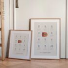 Common Knee Conditions anatomy chart for clinics