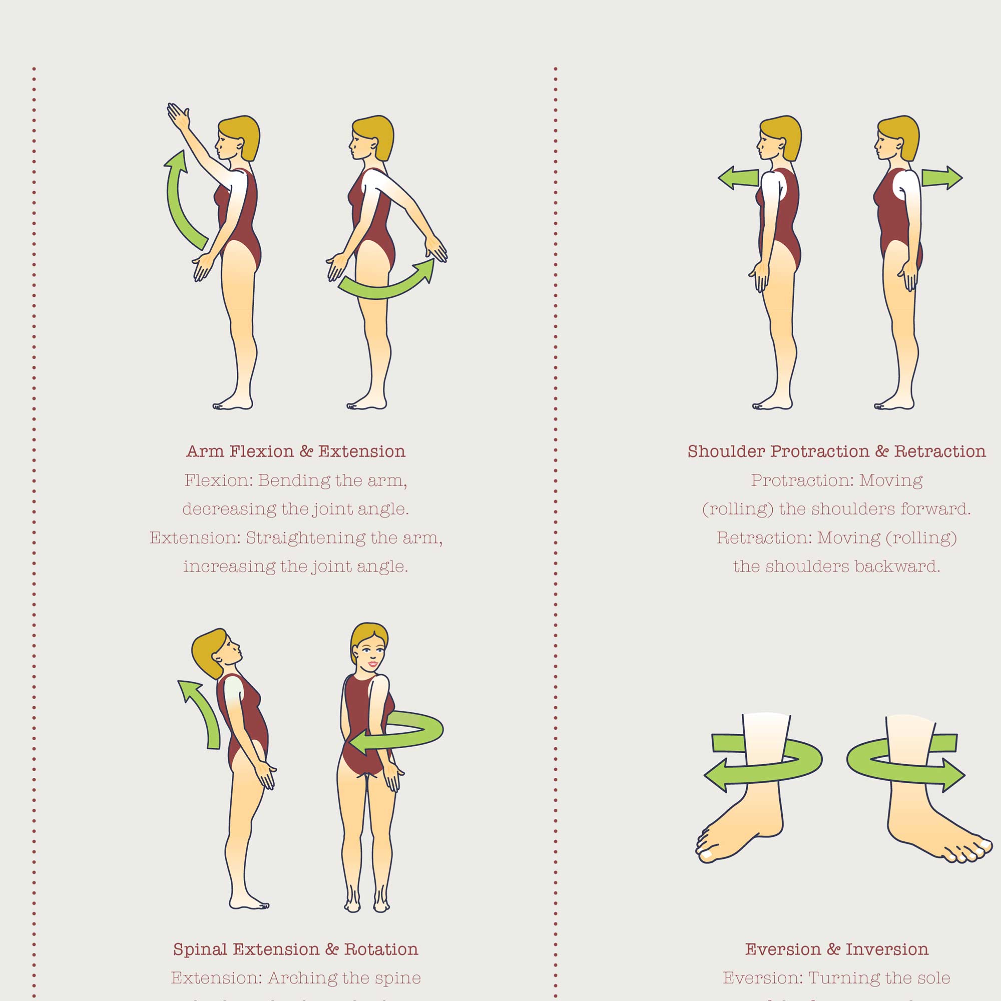 05 Types of Body Movements