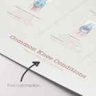 Common Knee Conditions anatomy chart for clinics