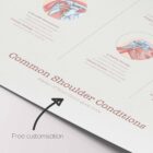 Common Shoulder Conditions anatomy chart for clinics