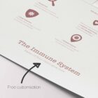 The Immune System anatomy chart for clinics
