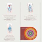 Common Knee Conditions anatomy chart for clinics