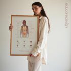 The Immune System anatomy chart for clinics