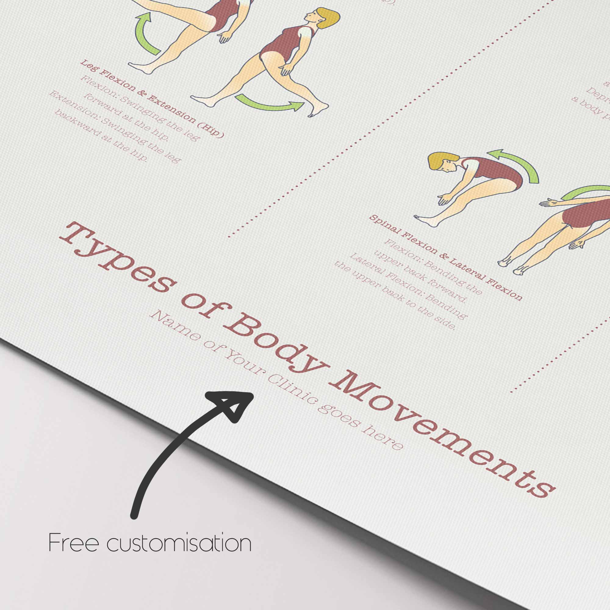 08 Types of Body Movements