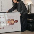 The Immune System anatomy chart for clinics